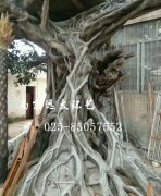 水泥仿真榕樹紋理塑造現(xiàn)場(chǎng)